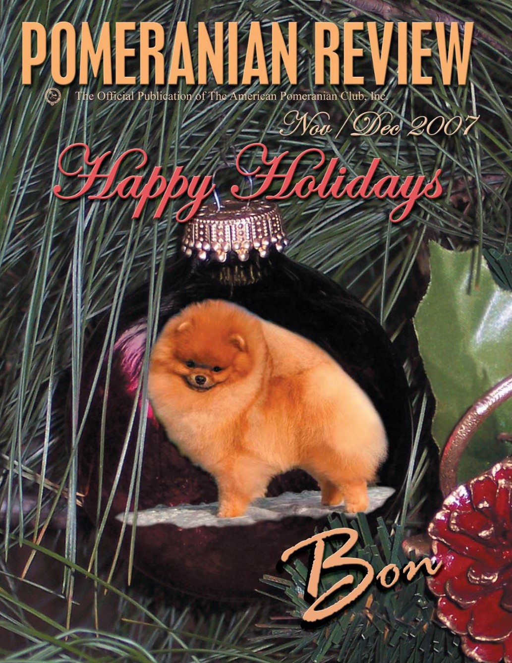 The Pomeranian Review November 2007 